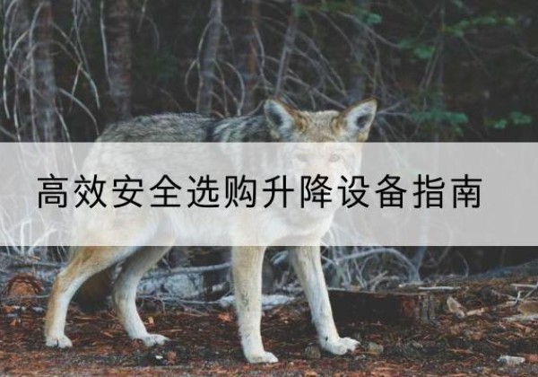 雨花升降货梯厂家推荐-*安全选购升降设备指南