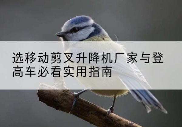 雨花电动升降机厂家-选移动剪叉升降机厂家与登高车必看实用指南
