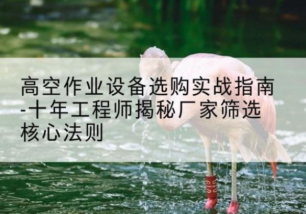雨花剪叉式升降机厂家-高空作业设备选购实战指南-十年工程师揭秘厂家筛选核心法则